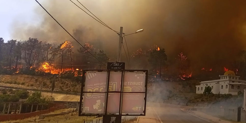 تمت السيطرة على جلها..   الحرائق دمرت أكثر من 600 هكتار من الغابات في 8 ولايات